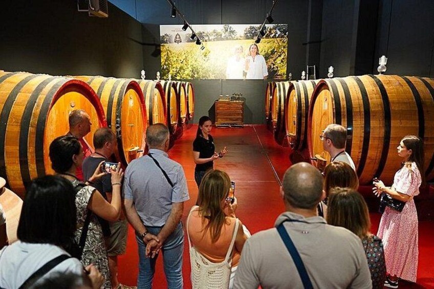 Visit and tasting 30 minutes from Pescara Entry 4