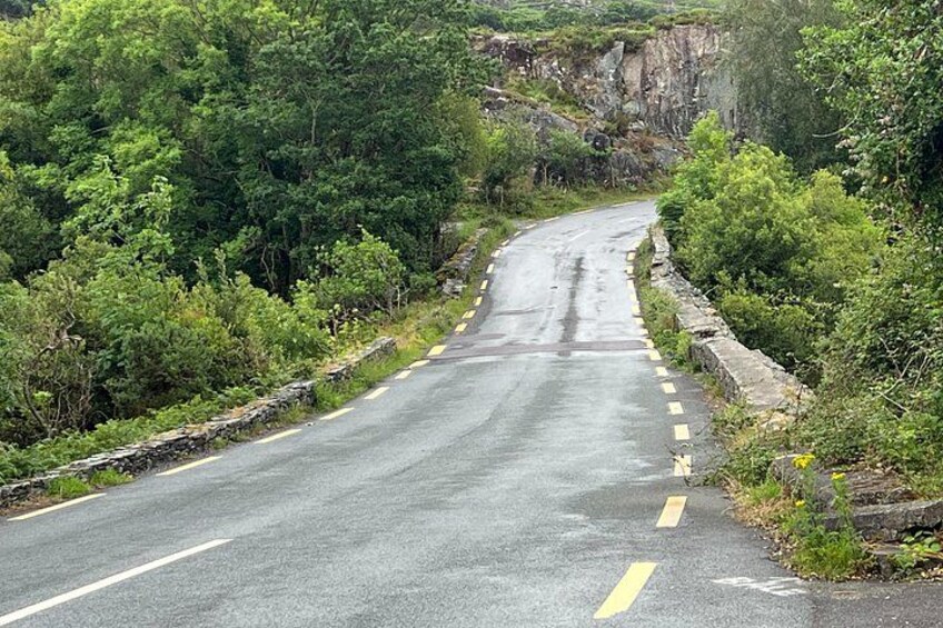 Ring of Kerry Day Tour from Killarney 2
