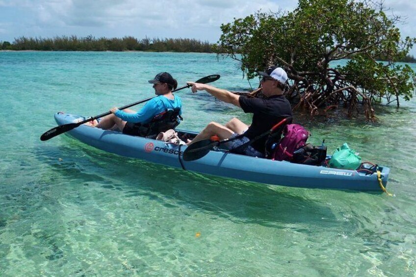 Nassau Kayaking Adventure: Snorkeling, Drinks & Small-Group Fun 4