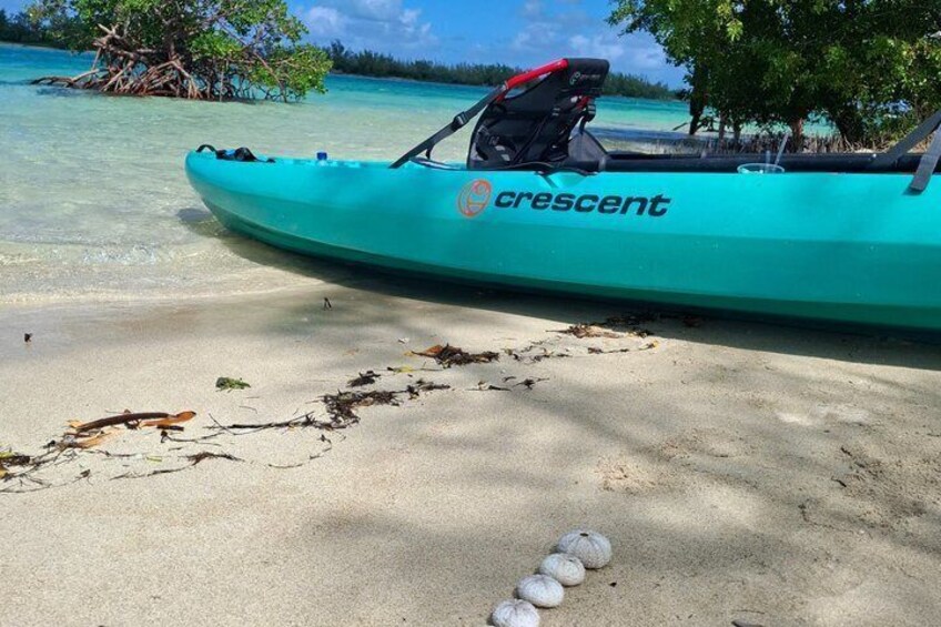 Un kayak turquesa con la marca 'crescent' en una playa de arena con agua turquesa cristalina y un árbol al fondo. 2