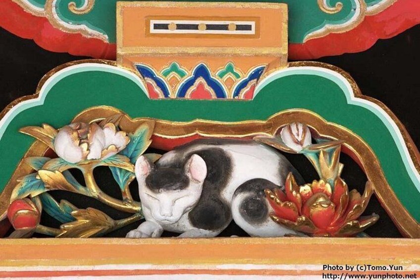 Un gatto addormentato in un ambiente decorativo, con motivi floreali e un design tradizionale. 4