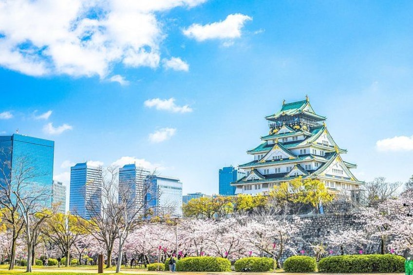 Ett traditionellt japanskt slott med körsbärsblommor i förgrunden och moderna byggnader i bakgrunden. 2