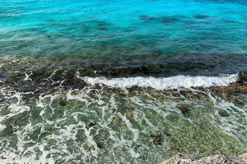 Small-Group Guided North & South Tour of Bonaire with Pick Up 3