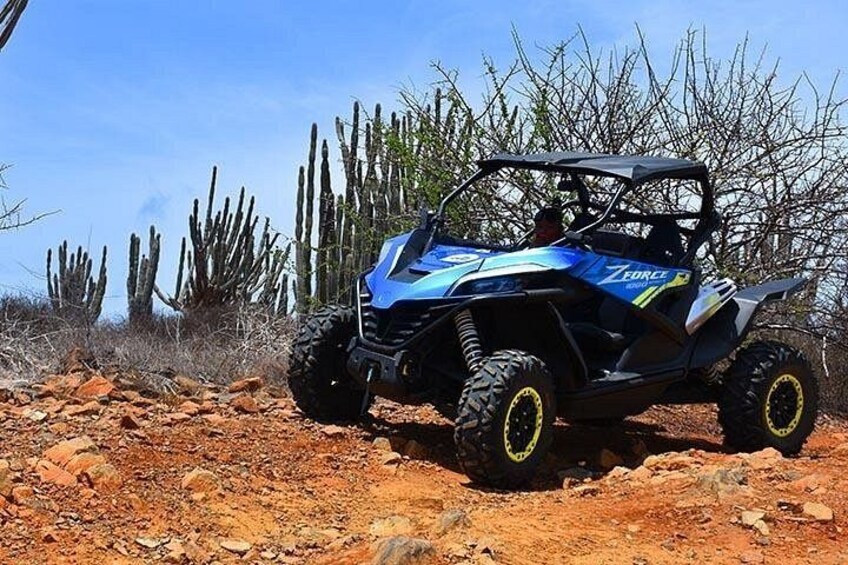 BUGGY EXPERIENCE 5