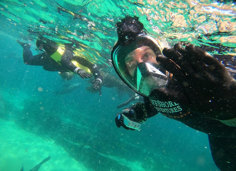 Picture 13 for Activity Plettenberg Bay: Swim with Seals 3
