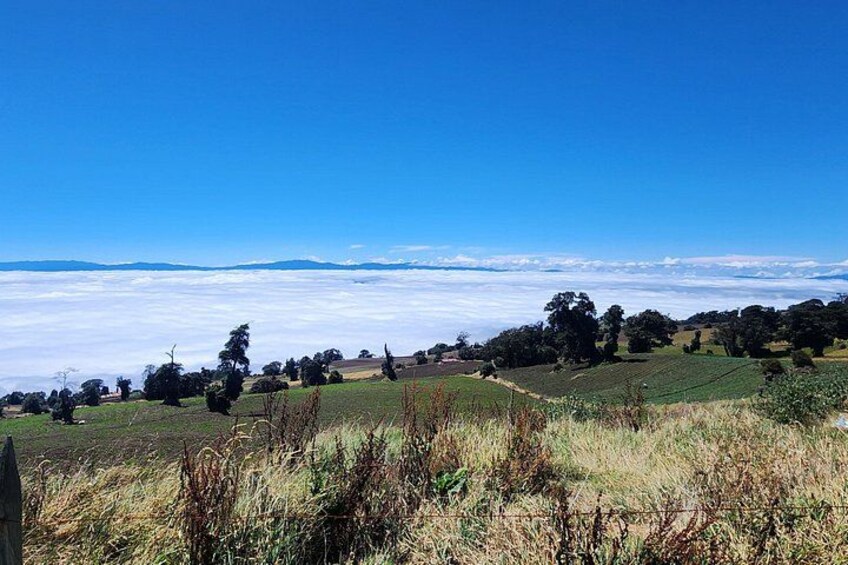 Walking on clouds at the Irazu Park 5