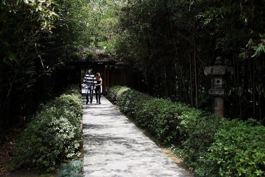 Botanical Gardens at Lankester 4