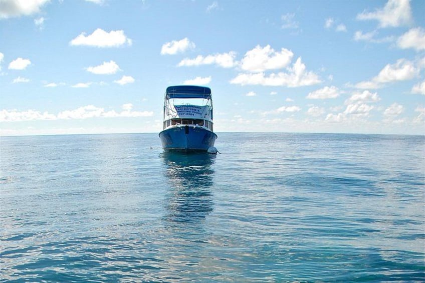 Bermuda Glass Bottom Boat Cruise 3