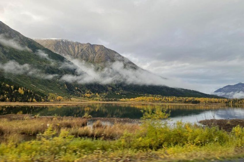 Anchorage to Seward Wildlife Adventure 3