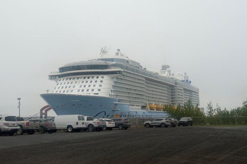 Anchorage to Seward Wildlife Adventure 2