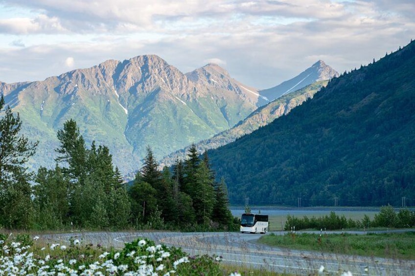 Anchorage to Whittier Wildlife Adventure 2