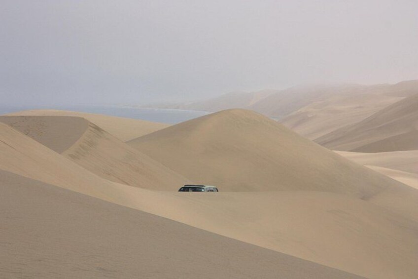 Even on Misty days we go high up in the Dunes 3