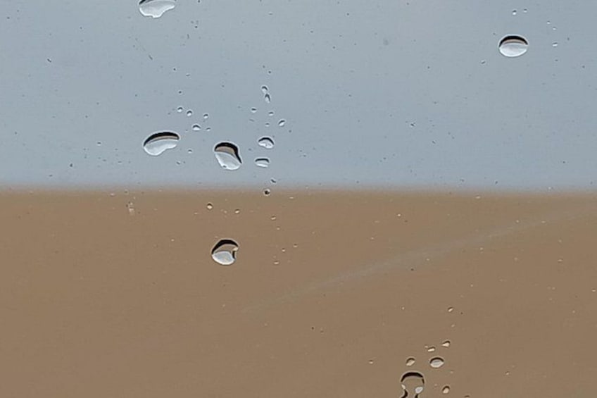 Rare sight Raindrops in the Desert 4