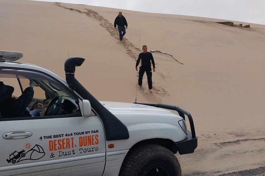 Enjoying Dune walks 5