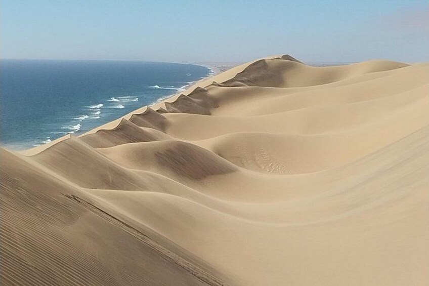 Windswept dune VIEWS 1