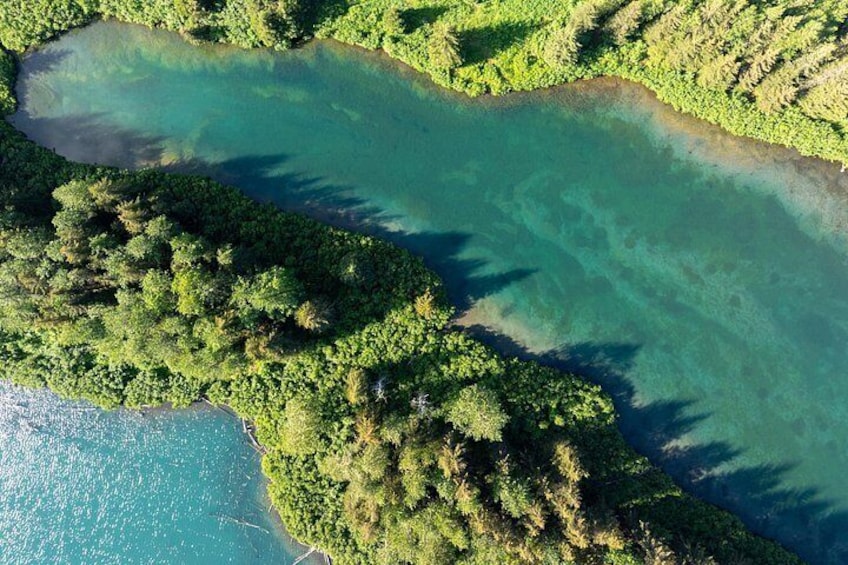 Une rivière sinueuse qui traverse une zone boisée, avec une eau claire et une végétation luxuriante. 2