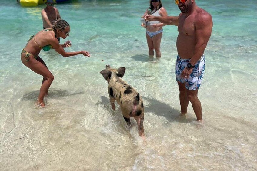 3 Islands Private Group Excursion (4hrs) 2