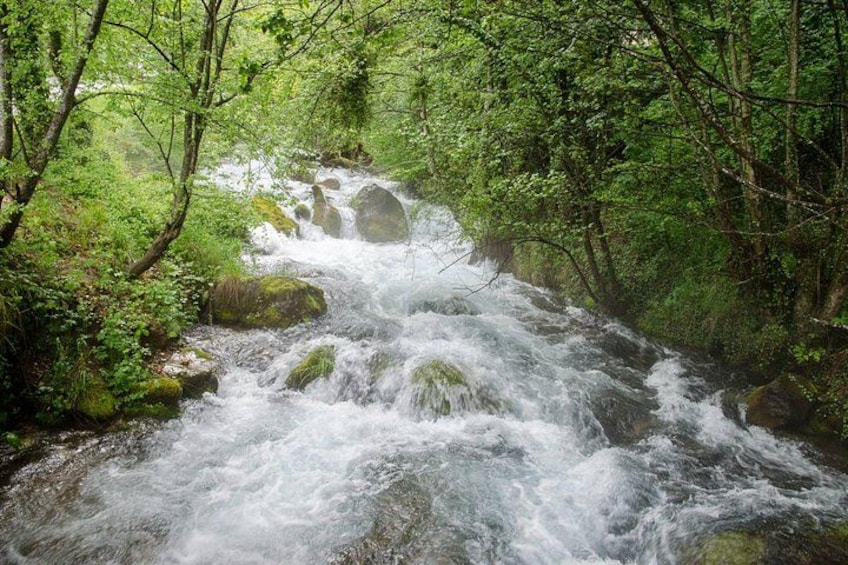 A fast-flowing river in a forested area with rocks and lush greenery. 5