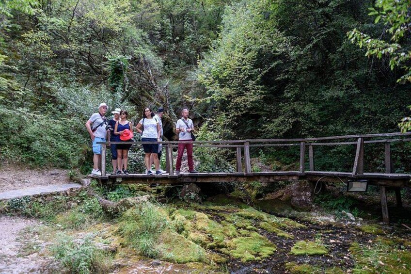 A group of people standing on a wooden bridge over a stream in a forested area. 4