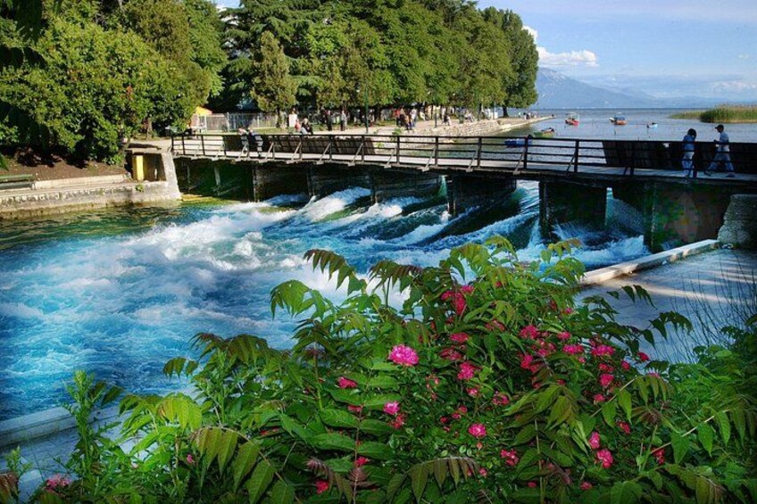 A water park with a bridge, water slides, and lush greenery. 1