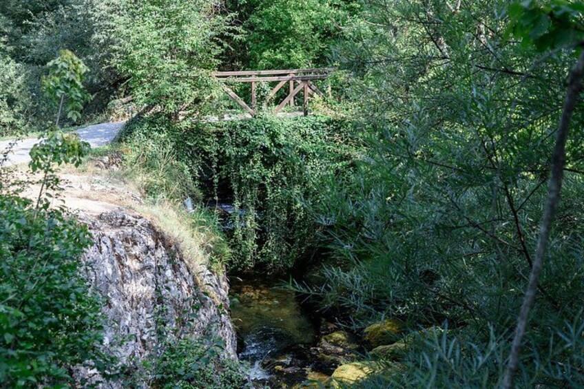 A wooden bridge over a stream in a forested area. 2