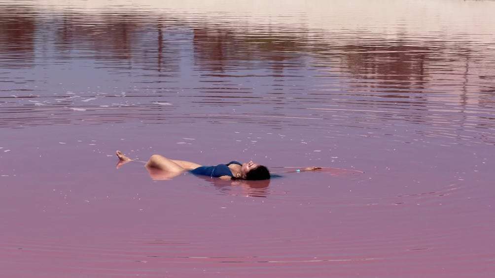 Rio Lagartos - Las Coloradas with Lunch & Transportation 5