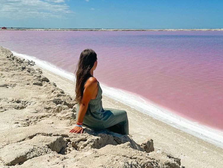 Rio Lagartos - Las Coloradas with Lunch & Transportation 4