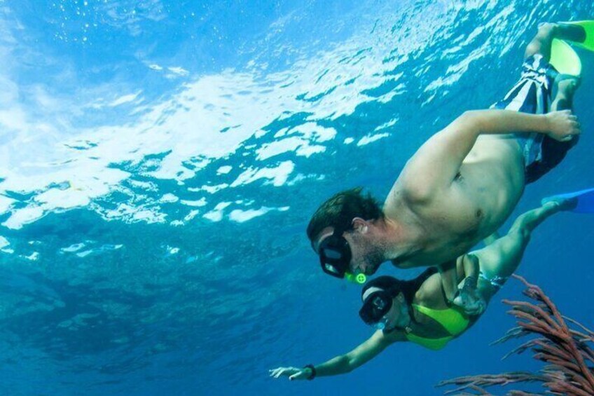 Providenciales: Emerald Reef and Shipwreck Snorkeling Tour 2