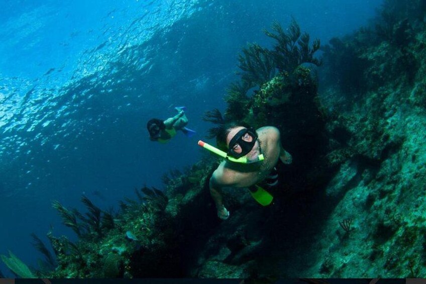 Providenciales: Emerald Reef and Shipwreck Snorkeling Tour 2