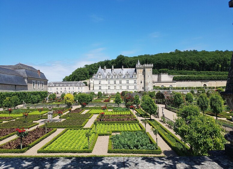 From Tours: Villandry, Azay-le-Rideau & Vouvray Winery 1