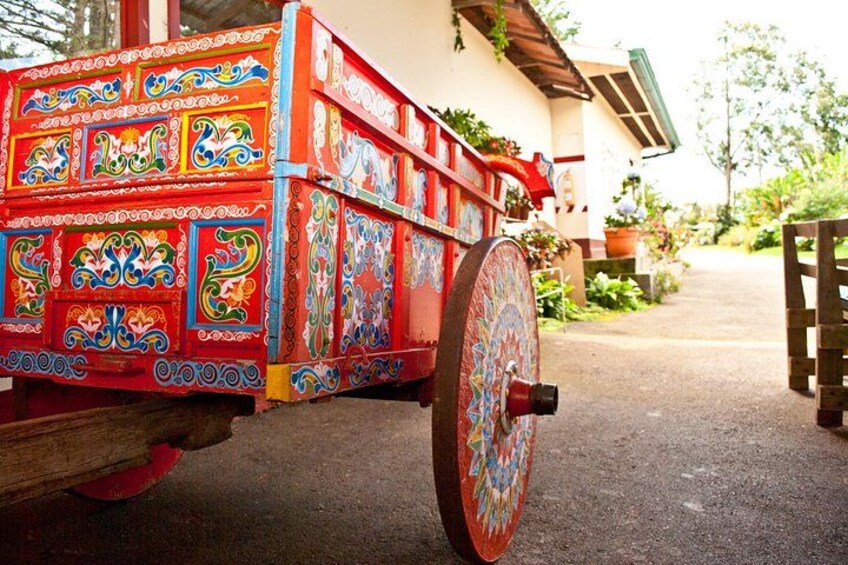 Oxcart 5