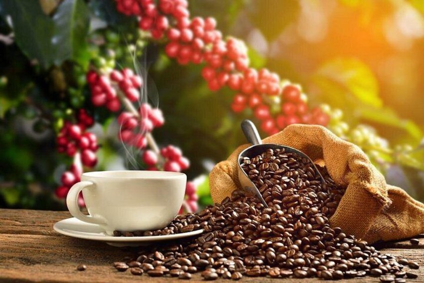 Coffee Beans 3