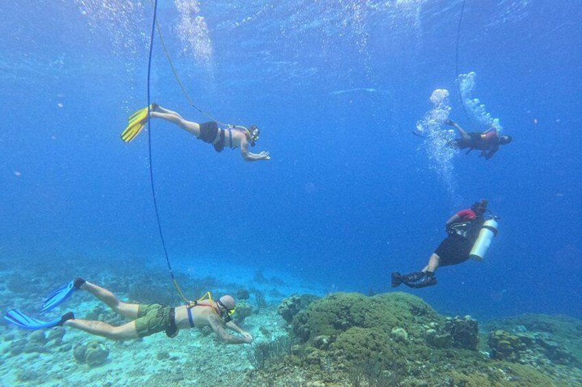 Curacao Small-Group Snuba Diving Tour 1