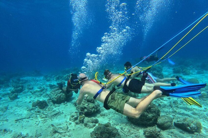 Un subacqueo immerso con una guida, circondato da coralli e vita marina. 5