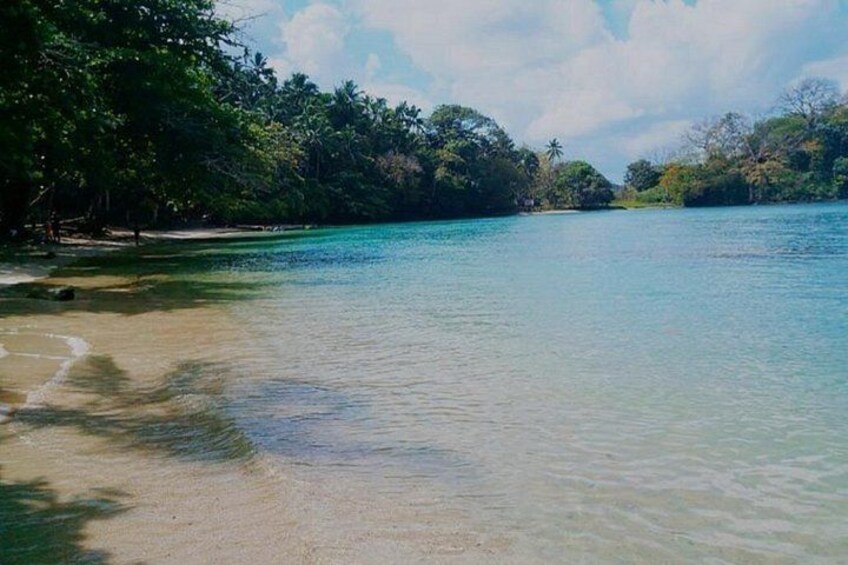 A calm river with clear water, surrounded by dense tropical vegetation and a sandy beach. 2