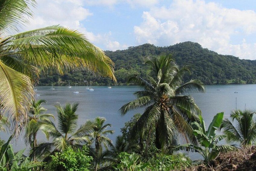 A lake surrounded by palm trees and a mountain. 1