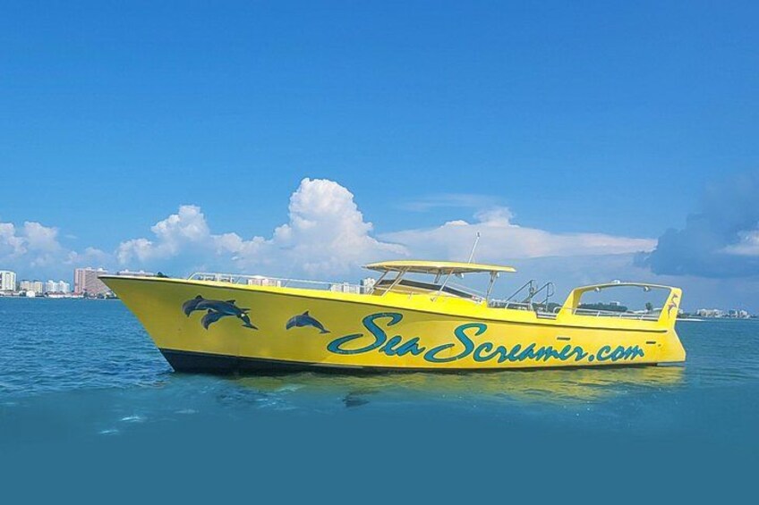 A yellow boat with dolphins and the text 'Sea Screamer.com' on its side, floating on calm water with a clear sky and distant buildings in the background. 2
