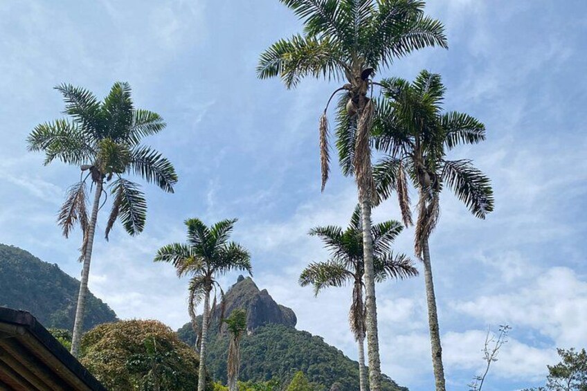 Private Hidden Paradise Experience near Medellin 1
