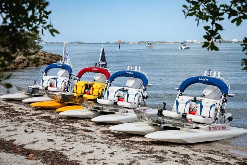 HydroCats 5