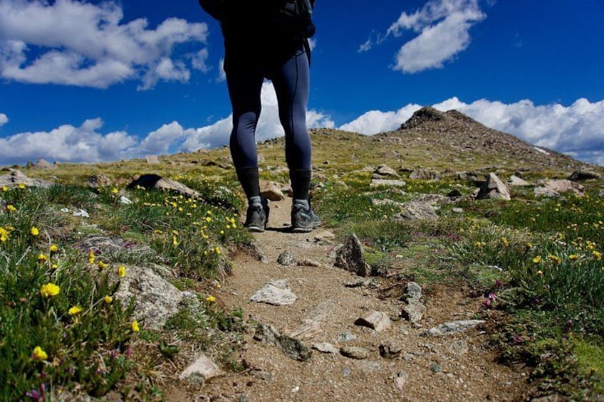 Rocky Mountain National Park Half Day Hike 2