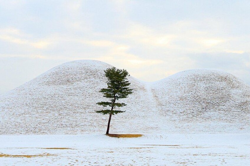 Daereungwon (Winter) 2