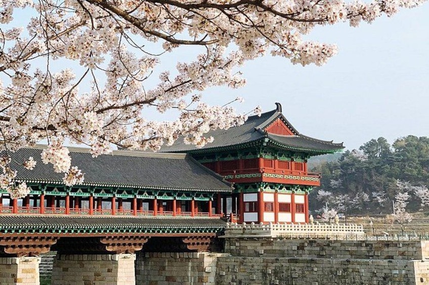 Gyeongju and Seokguram Grotto Day Tour From Busan 3
