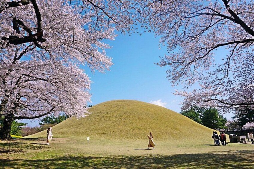 Daereungwon (Spring) 5
