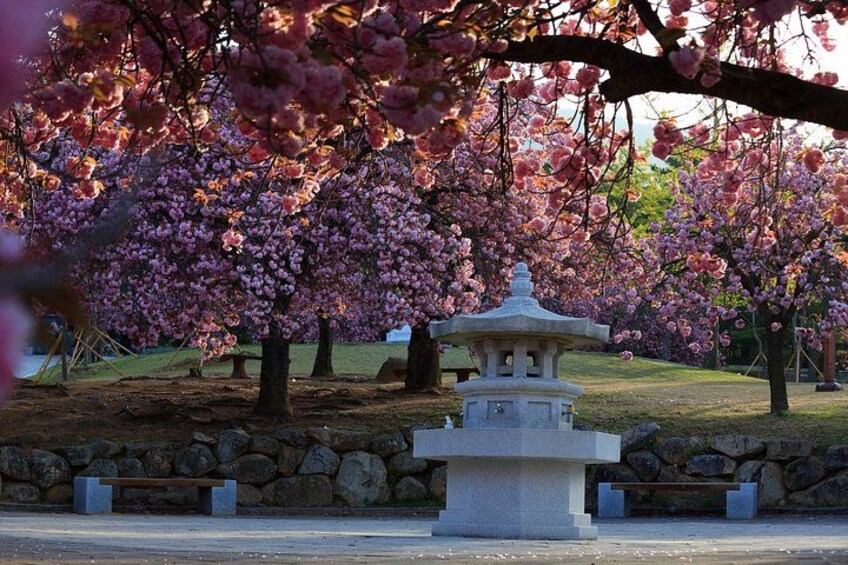Bulguksa (Spring) 2