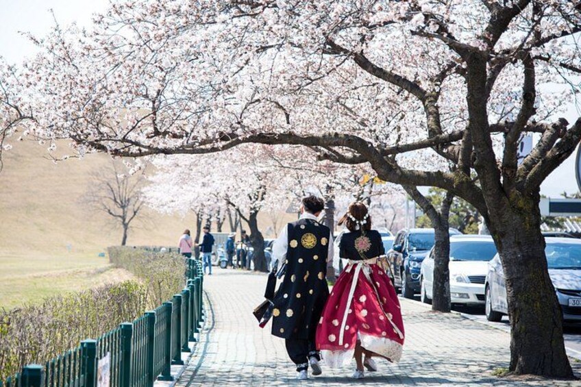 Daereungwon (Spring) 4