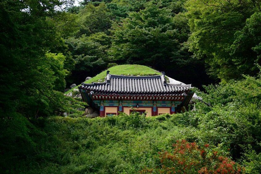 Gyeongju and Seokguram Grotto Day Tour From Busan 5
