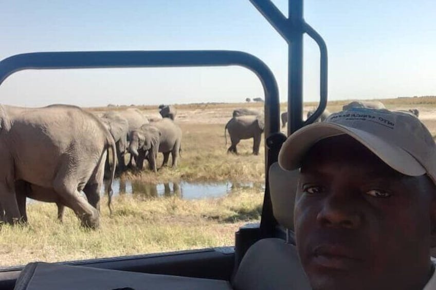 Full Day Chobe Safari - From Victoria Falls 2