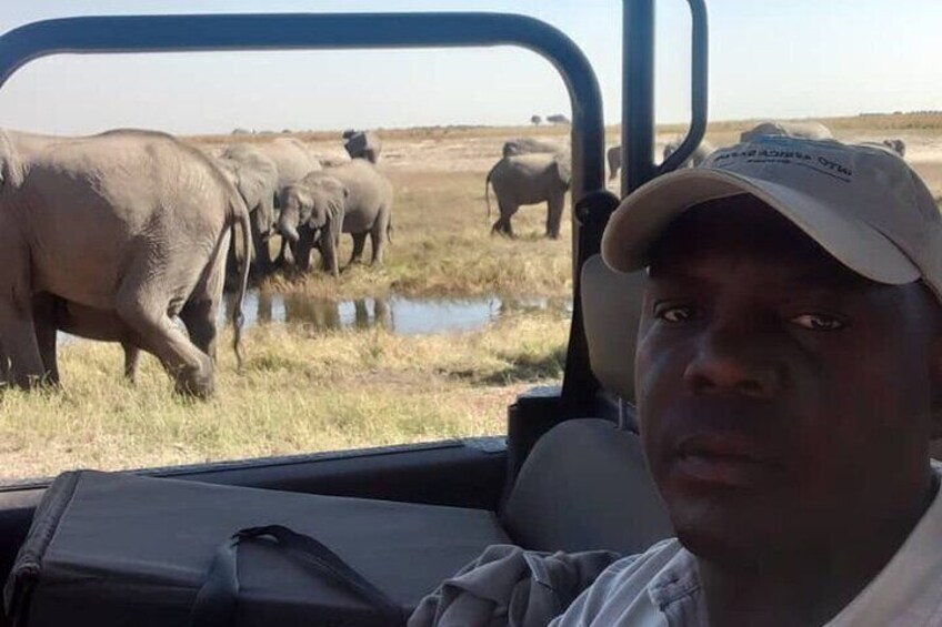 Full Day Chobe Safari - From Victoria Falls 4