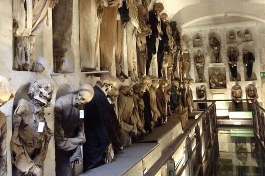 A museum with numerous skeletons and skulls on display. 3