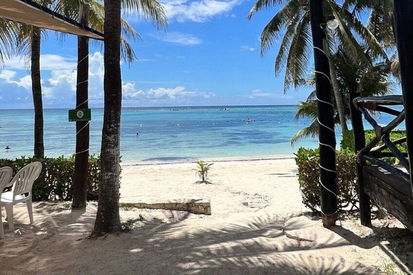Una spiaggia con palme, un recinto di legno e un mare blu cristallino. 2